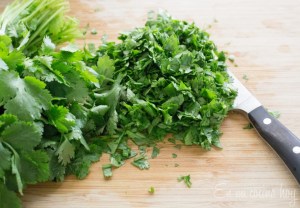 pebre-verde-3-1024x713